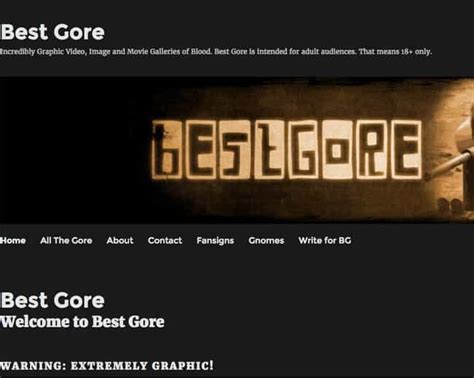 gore sites|What is the best gore website you can access without a dark